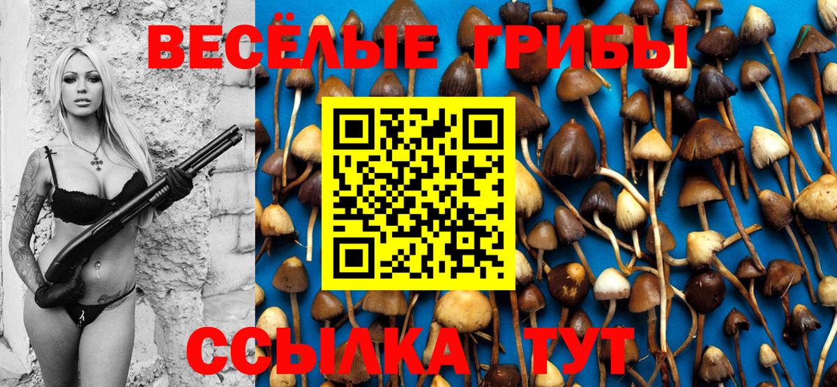 сколько стоит  Псилоцибиновые грибы мухоморы  Вход с VPN  Сертолово 